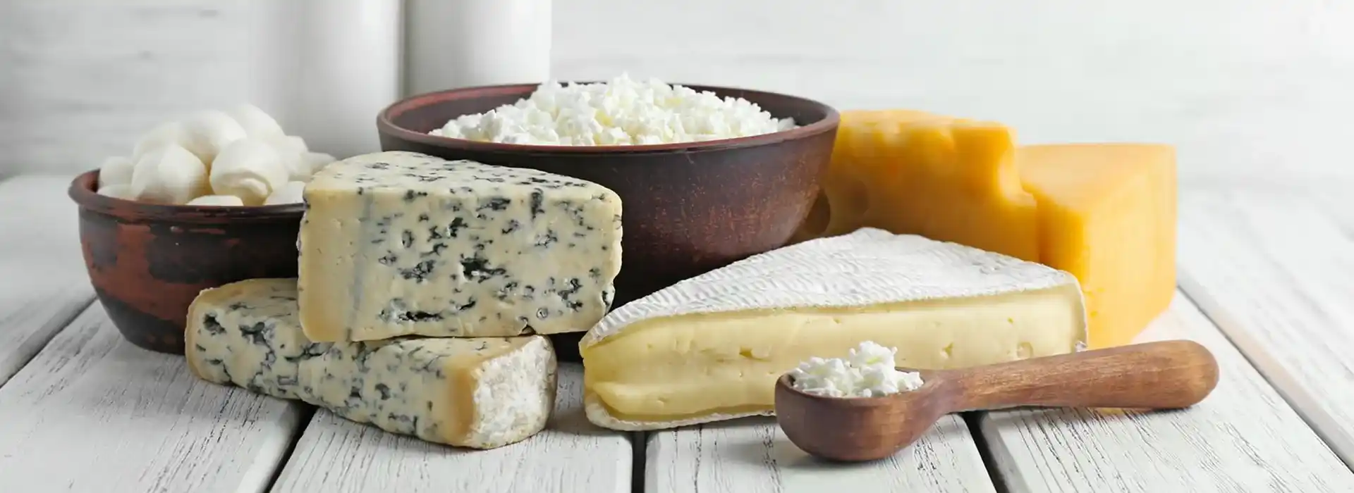 Dairy and Cheese Products Banner