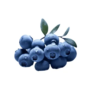 Frozen Fruits - Frozen Blueberries