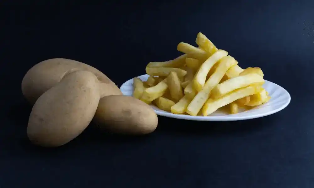 POTATO PRODUCTS