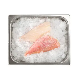 Seafood - Red Fresh Fillet